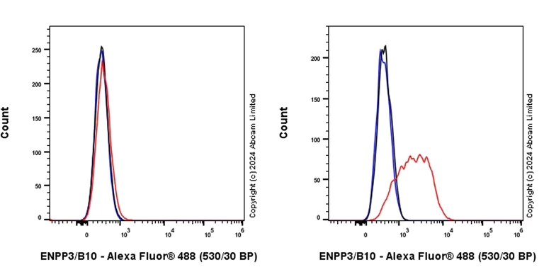 Flow Cytometry - Alexa Fluor® 488 Anti-ENPP3/B10 antibody [EPR27349-72] (AB319125)