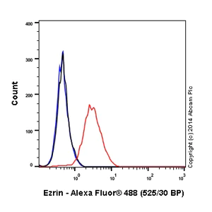 Flow Cytometry (Intracellular) - Alexa Fluor® 488 Anti-Ezrin antibody [EP886Y] (AB198520)