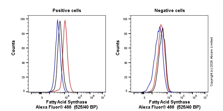 Flow Cytometry (Intracellular) - Alexa Fluor® 488 Anti-Fatty Acid Synthase antibody [EPR7465] (AB204660)