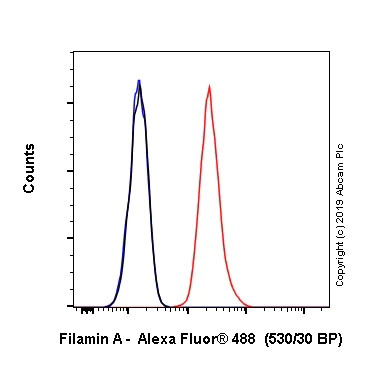 Flow Cytometry (Intracellular) - Alexa Fluor® 488 Anti-Filamin A antibody [EP2405Y] (AB246749)