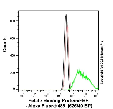 Flow Cytometry - Alexa Fluor® 488 Anti-Folate Binding Protein/FBP antibody [EPR23387-276] (AB275198)