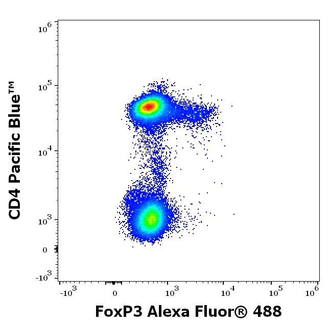 Flow Cytometry (Intracellular) - Alexa Fluor® 488 Anti-FOXP3 antibody [3G3] (AB187598)