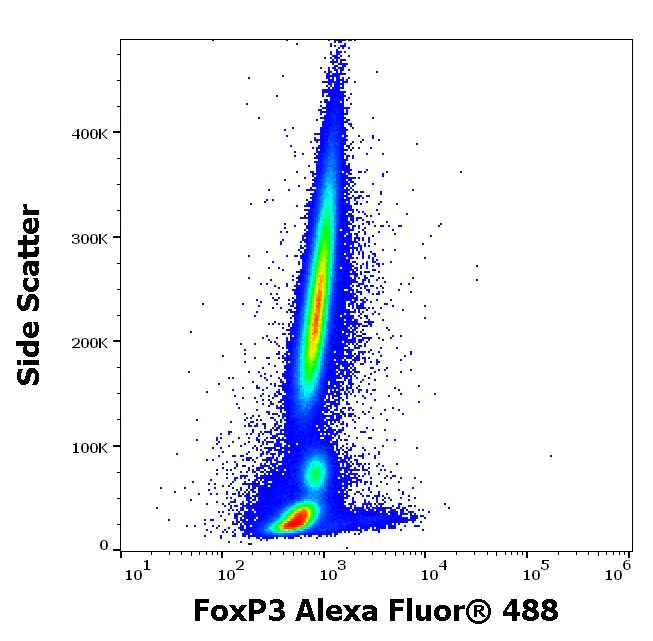 Flow Cytometry (Intracellular) - Alexa Fluor® 488 Anti-FOXP3 antibody [3G3] (AB187598)