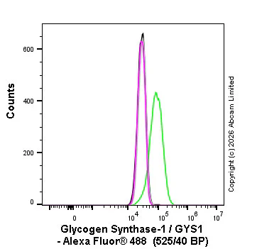 Flow Cytometry (Intracellular) - Alexa Fluor® 488 Anti-Glycogen synthase 1/GYS1 antibody [EP817Y] (AB326126)