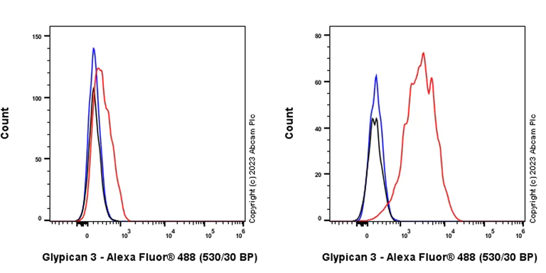 Flow Cytometry - Alexa Fluor® 488 Anti-Glypican 3 antibody [SP86] (AB314880)