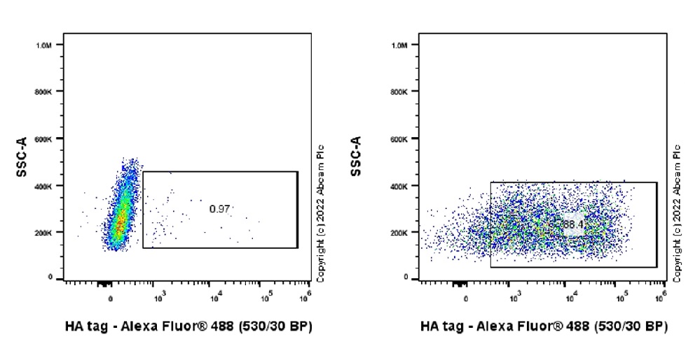 Flow Cytometry (Intracellular) - Alexa Fluor® 488 Anti-HA tag antibody [EPR22819-101] (AB305269), expandable thumbnail