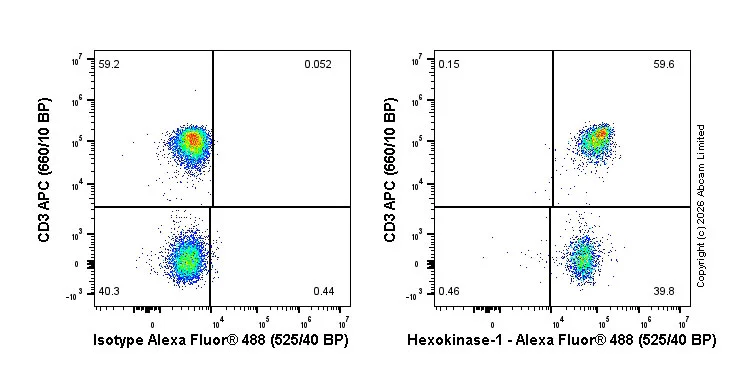 Flow Cytometry (Intracellular) - Alexa Fluor® 488 Anti-Hexokinase 1 antibody [EPR10134(B)] - Mitochondrial Outer Membrane Marker (AB184818)