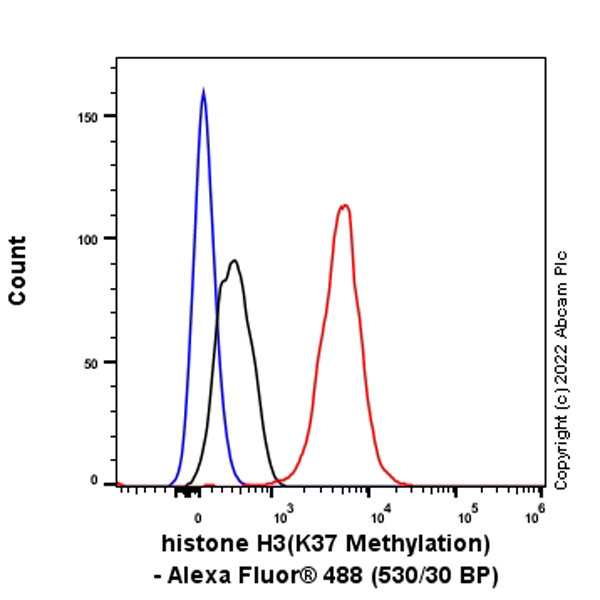 Flow Cytometry (Intracellular) - Alexa Fluor® 488 Anti-Histone H3 (methyl K37) antibody [EPR20970] (AB307619), expandable thumbnail