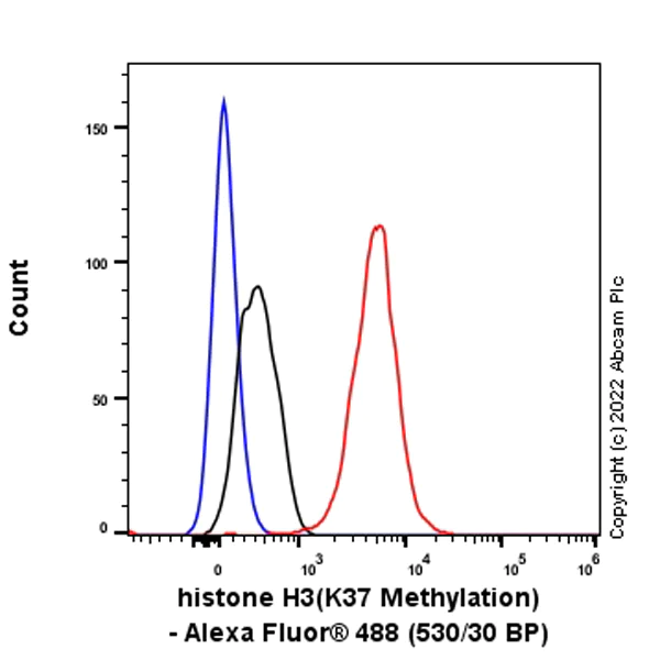 Flow Cytometry (Intracellular) - Alexa Fluor® 488 Anti-Histone H3 (methyl K37) antibody [EPR20970] (AB307619)