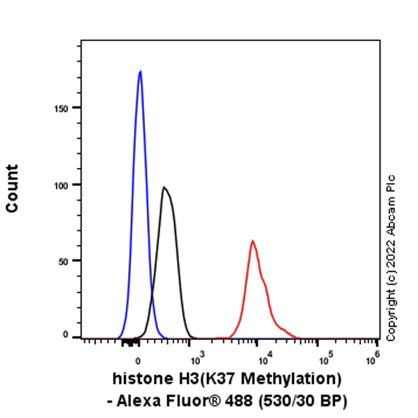 Flow Cytometry (Intracellular) - Alexa Fluor® 488 Anti-Histone H3 (methyl K37) antibody [EPR20970] (AB307619)