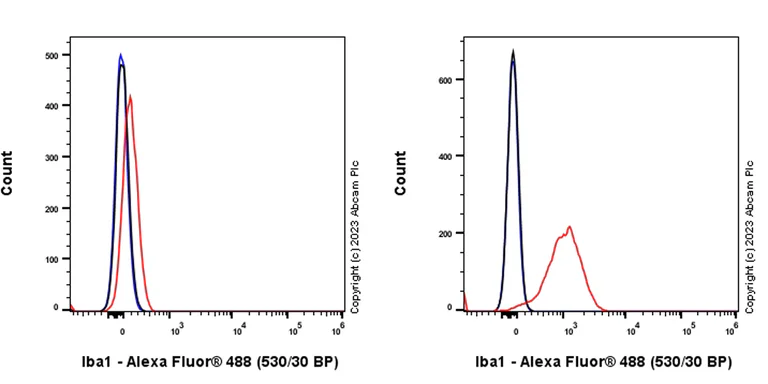 Flow Cytometry - Alexa Fluor® 488 Anti-Iba1 antibody [EPR16589] - Mouse IgG1 (Chimeric) (AB312913)