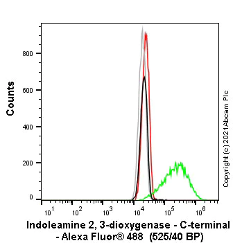 Flow Cytometry (Intracellular) - Alexa Fluor® 488 Anti-Indoleamine 2, 3-dioxygenase antibody [SP260] (AB270919)