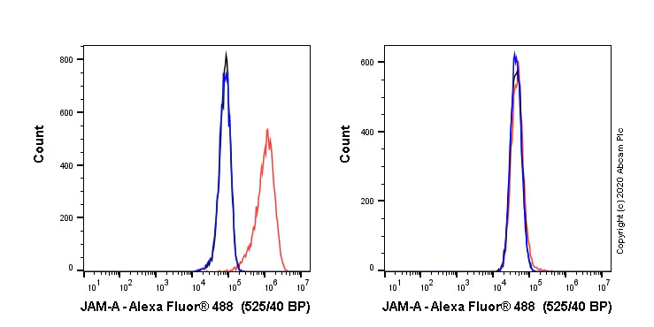 Flow Cytometry - Alexa Fluor® 488 Anti-Junctional Adhesion Molecule 1/JAM-A antibody [EPR23246-275] (AB275179)