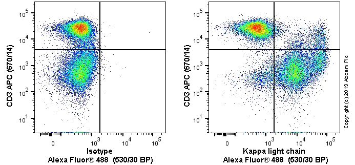 Flow Cytometry - Alexa Fluor® 488 Anti-Kappa light chain antibody [OX12] (AB256420)