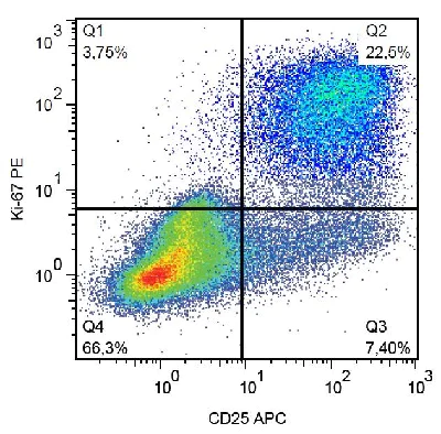 Flow Cytometry (Intracellular) - Alexa Fluor® 488 Anti-Ki67 antibody [KI67] (AB206633)