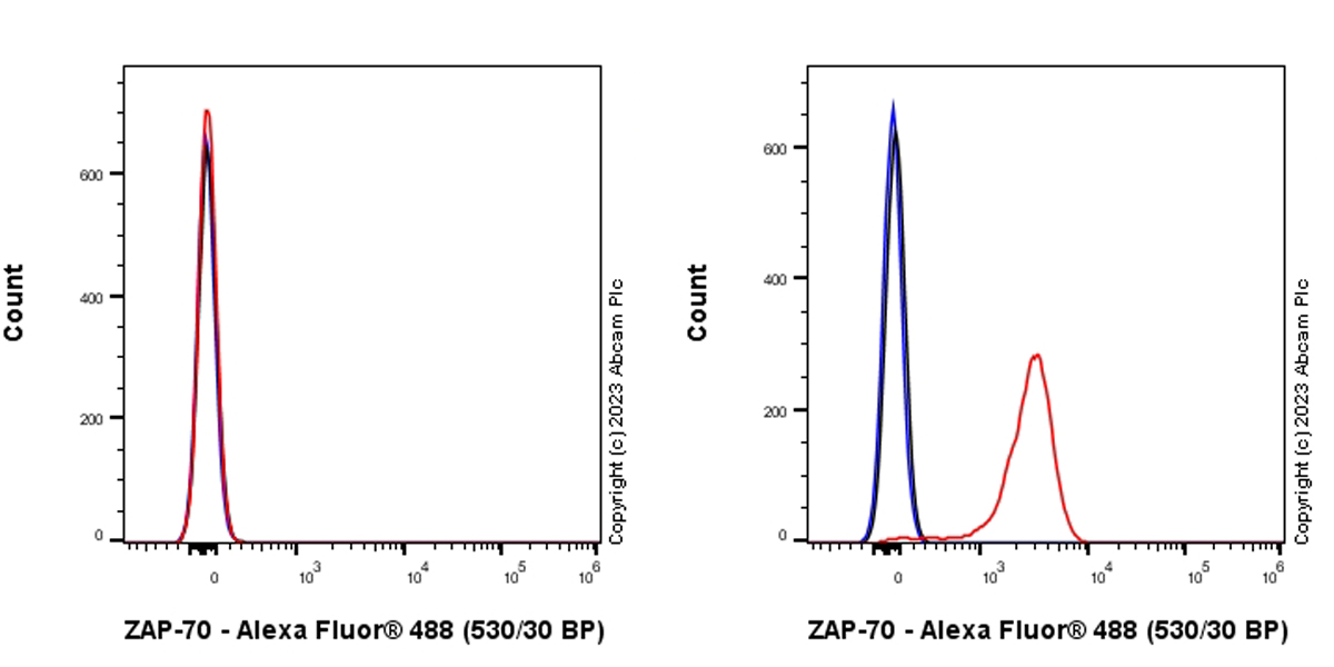 Flow Cytometry - Alexa Fluor® 488 Anti-Klotho antibody [EPR6856] (AB311042), expandable thumbnail