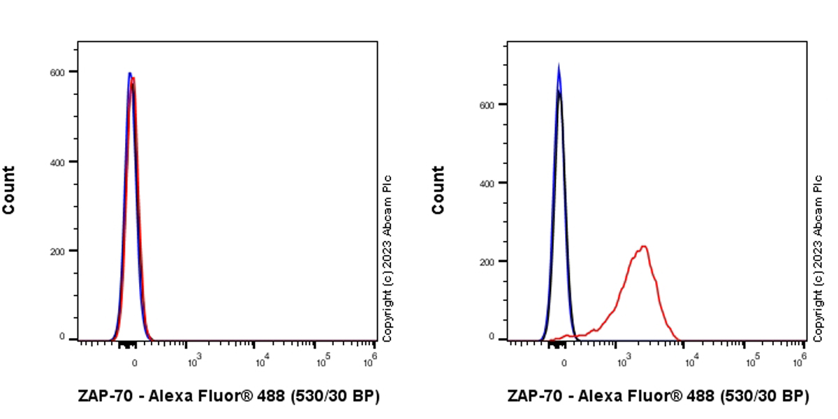Flow Cytometry - Alexa Fluor® 488 Anti-Klotho antibody [EPR6856] (AB311042), expandable thumbnail