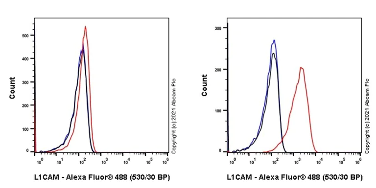 Flow Cytometry - Alexa Fluor® 488 Anti-L1CAM antibody [EPR23241-224] (AB275189)