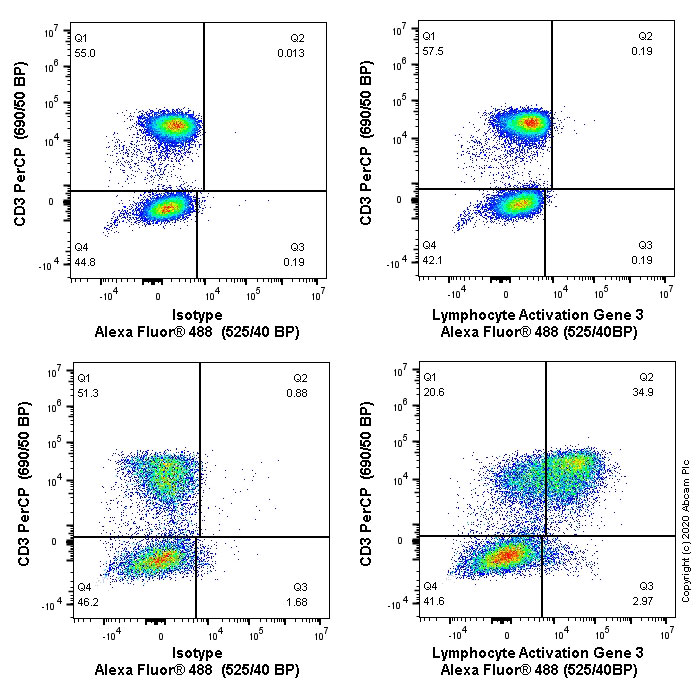 Flow Cytometry (Intracellular) - Alexa Fluor® 488 Anti-LAG-3 antibody [CAL77] (AB270907)