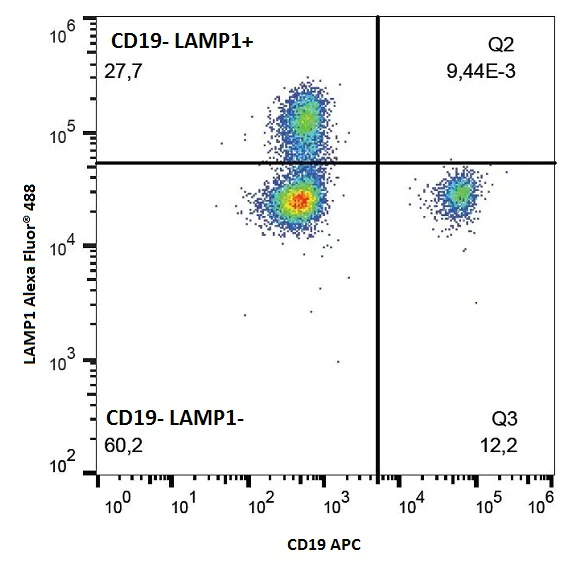 Flow Cytometry (Intracellular) - Alexa Fluor® 488 Anti-LAMP1 antibody [H4A3] - Lysosome Marker (AB187591)
