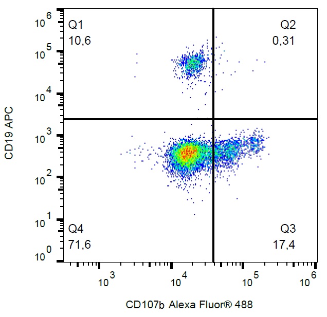 Flow Cytometry (Intracellular) - Alexa Fluor® 488 Anti-LAMP2 antibody [H4B4] - Lysosome Marker (AB187607), expandable thumbnail