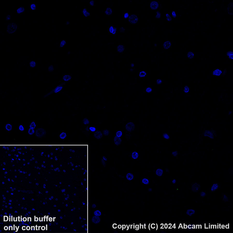 Immunohistochemistry (Formalin/PFA-fixed paraffin-embedded sections) - Alexa Fluor® 488 Anti-LI Cadherin antibody [EPR3996] (AB323998), expandable thumbnail