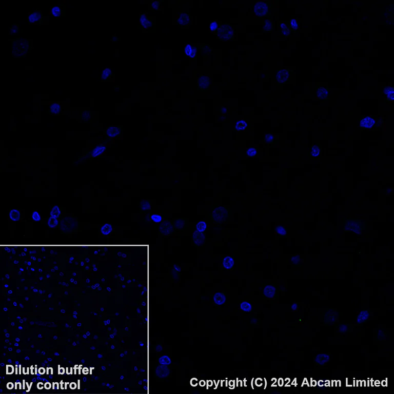 Immunohistochemistry (Formalin/PFA-fixed paraffin-embedded sections) - Alexa Fluor® 488 Anti-LI Cadherin antibody [EPR3996] (AB323998)