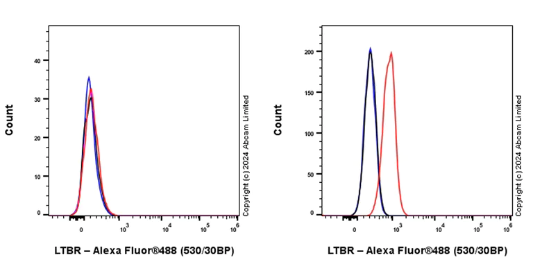 Flow Cytometry - Alexa Fluor® 488 Anti-LTBR antibody [EPR26095-87] (AB321854)