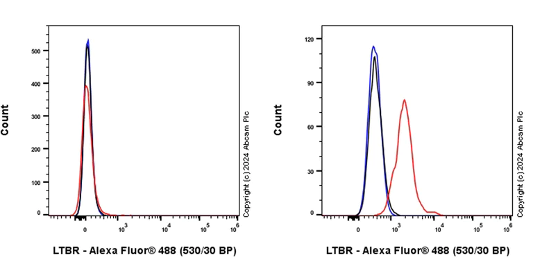 Flow Cytometry - Alexa Fluor® 488 Anti-LTBR antibody [EPR26097-53] (AB319015)
