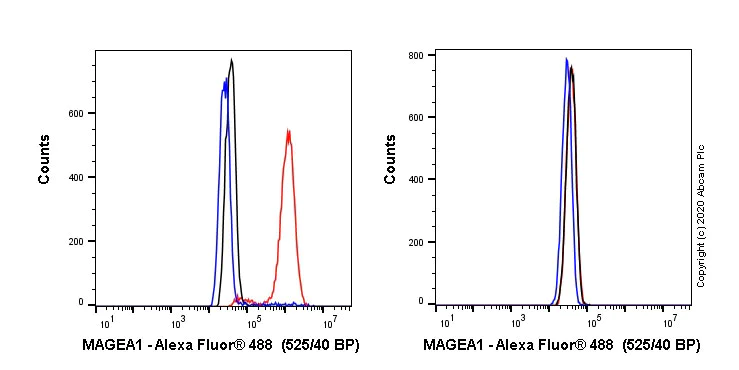 Flow Cytometry (Intracellular) - Alexa Fluor® 488 Anti-MAGEA1 antibody [SP188] (AB270905)