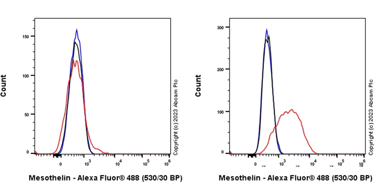 Flow Cytometry - Alexa Fluor® 488 Anti-Mesothelin antibody [EPR19025-42] (AB315357)