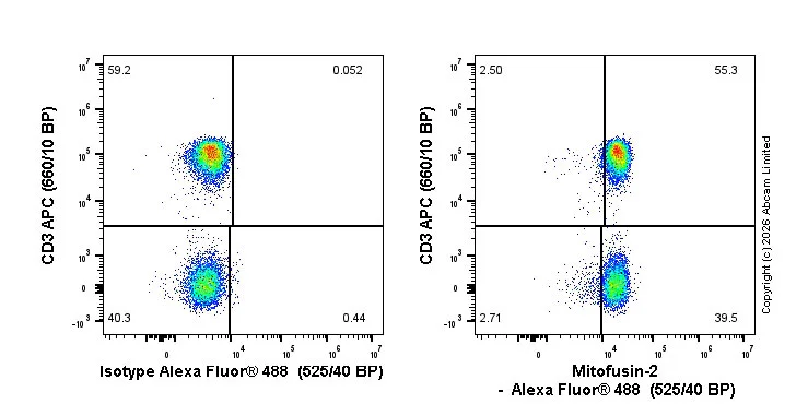 Flow Cytometry (Intracellular) - Alexa Fluor® 488 Anti-MFN2 antibody [EPR19796] (AB326161)