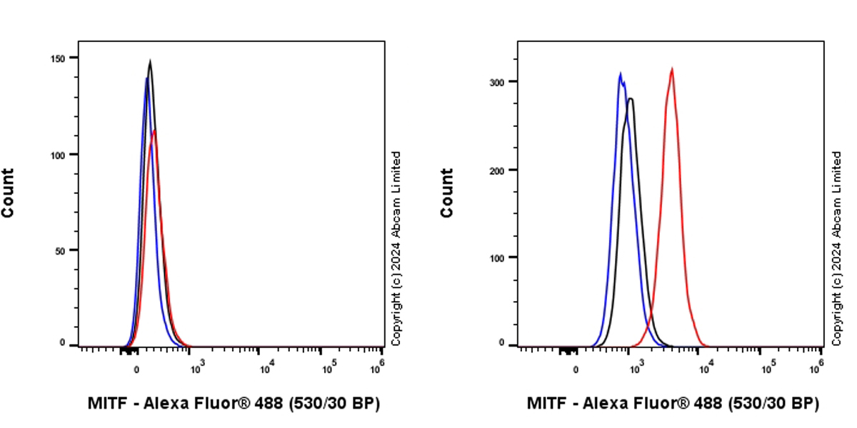 Flow Cytometry (Intracellular) - Alexa Fluor® 488 Anti-MiTF antibody [EPR26363-10] (AB322231), expandable thumbnail