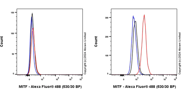 Flow Cytometry (Intracellular) - Alexa Fluor® 488 Anti-MiTF antibody [EPR26363-10] (AB322231)
