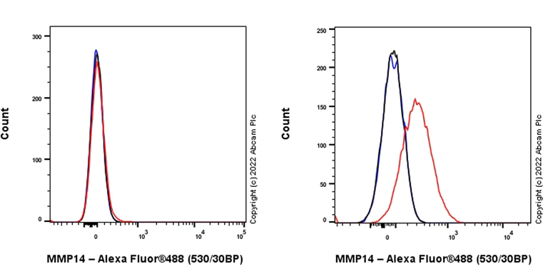 Flow Cytometry - Alexa Fluor® 488 Anti-MMP14 antibody [EP1264Y] (AB302582)