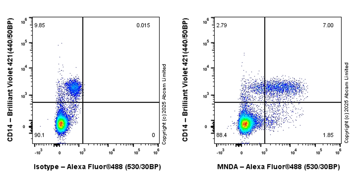 Flow Cytometry (Intracellular) - Alexa Fluor® 488 Anti-MNDA antibody [EPR28267-44] (ab324034), expandable thumbnail