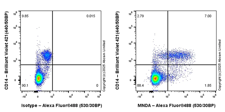 Flow Cytometry (Intracellular) - Alexa Fluor® 488 Anti-MNDA antibody [EPR28267-44] (AB324034)