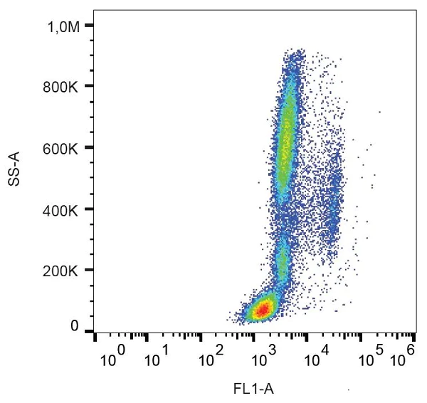 Flow Cytometry - Alexa Fluor® 488 Mouse IgG2a monoclonal [MOPC-173] - Isotype Control (AB237609)