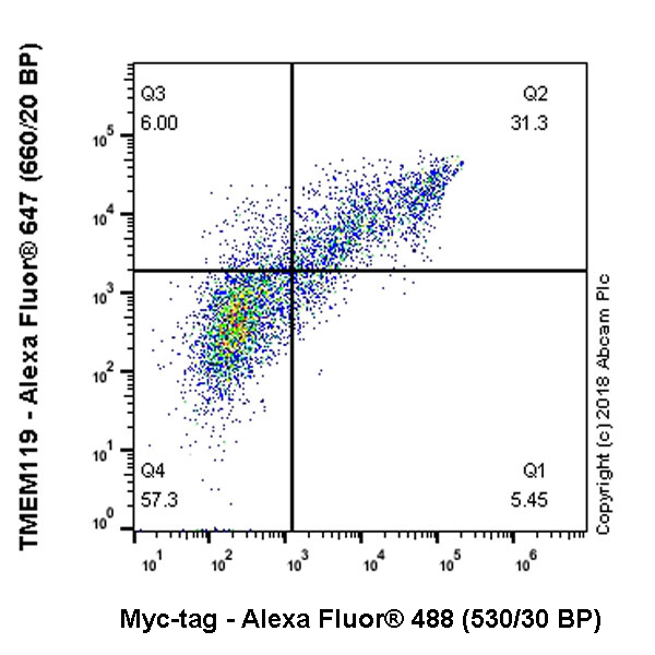 Flow Cytometry (Intracellular) - Alexa Fluor® 488 Anti-Myc tag antibody [9E10] (AB202008), expandable thumbnail