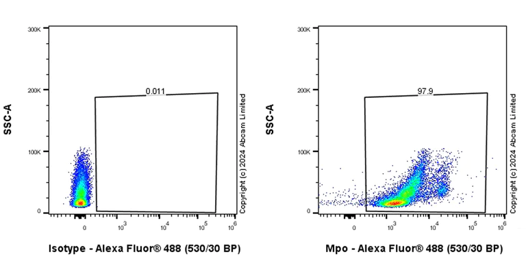 Flow Cytometry (Intracellular) - Alexa Fluor® 488 Anti-Myeloperoxidase antibody [EPR17996] (AB322168)