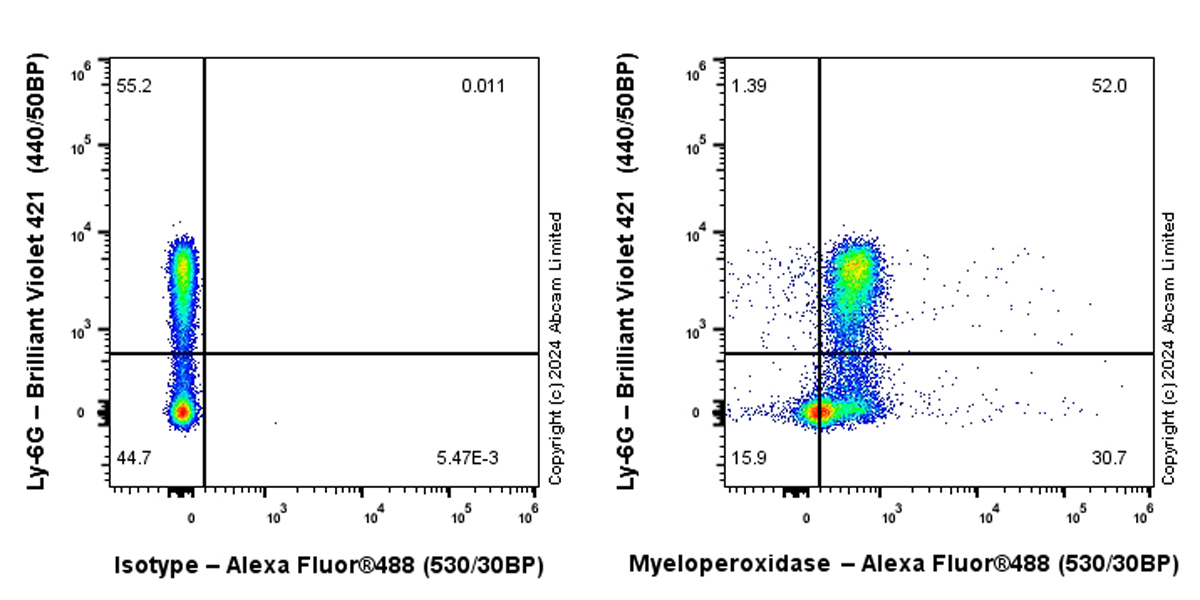 Flow Cytometry (Intracellular) - Alexa Fluor® 488 Anti-Myeloperoxidase antibody [EPR17996] (AB322168), expandable thumbnail