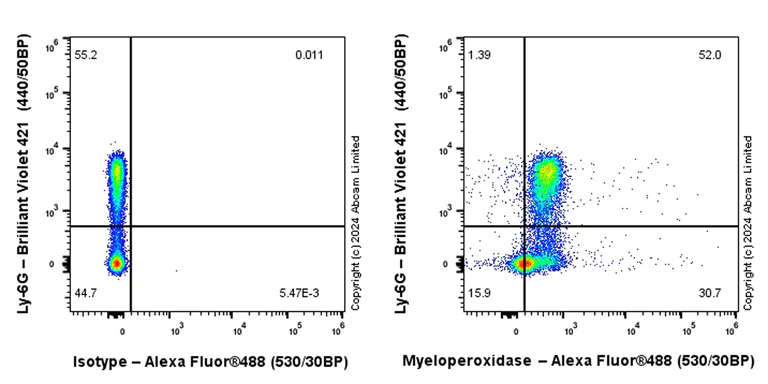 Flow Cytometry (Intracellular) - Alexa Fluor® 488 Anti-Myeloperoxidase antibody [EPR17996] (AB322168)