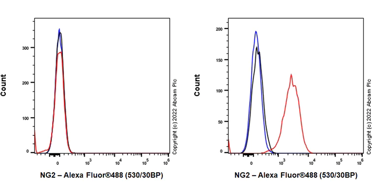 Flow Cytometry - Alexa Fluor® 488 Anti-NG2 antibody [EPR23752-147] (AB306569)