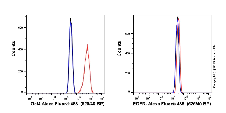 Flow Cytometry (Intracellular) - Alexa Fluor® 488 Anti-Oct4 antibody [EPR17929] (AB283741)