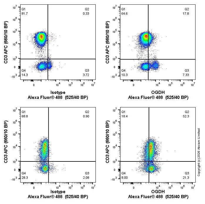 Flow Cytometry (Intracellular) - Alexa Fluor® 488 Anti-OGDH antibody [EPR27181-78] (AB326188)
