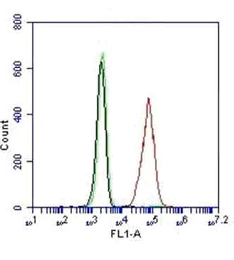 Flow Cytometry (Intracellular) - Alexa Fluor® 488 Anti-p53 antibody [9D3DE3] (AB156030)
