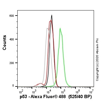 Alexa Fluor 488 Anti-p53 antibody [SP161]