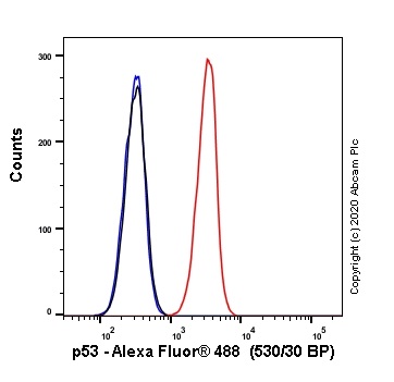 Flow Cytometry - Alexa Fluor® 488 Anti-p53 antibody [SP5] (AB270192), expandable thumbnail