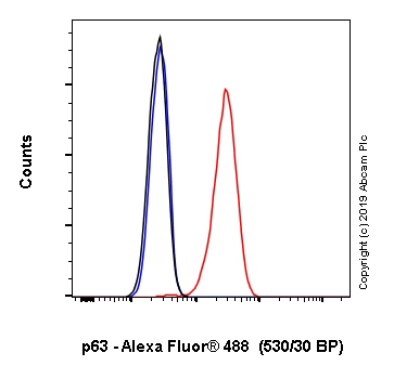 Flow Cytometry (Intracellular) - Alexa Fluor® 488 Anti-p63 antibody [EPR5701] (AB246727), expandable thumbnail