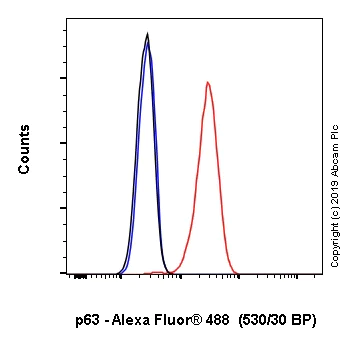 Flow Cytometry (Intracellular) - Alexa Fluor® 488 Anti-p63 antibody [EPR5701] (AB246727)